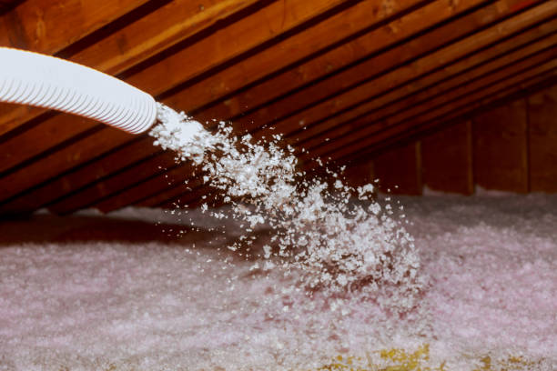 Best Insulation Maintenance and Repair in Talahi Island, GA